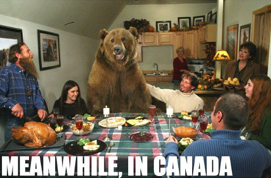 best-canadian-thanksgiving-memes.jpg